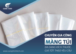 Chuyên-gia-công-màng-túi-đa-dạng-kích-thước,-giá-tốt-theo-yêu-cầu-1