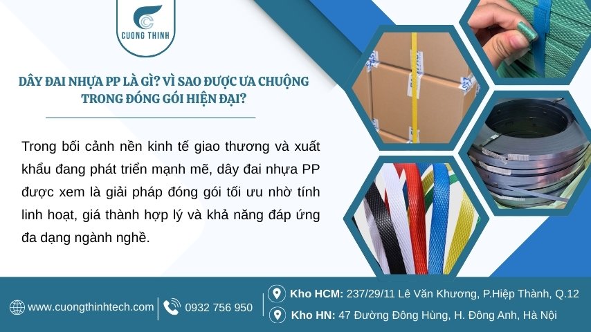 Dây đai nhựa PP được xem là giải pháp đóng gói tối ưu nhờ tính linh hoạt, giá thành hợp lý và khả năng đáp ứng đa dạng ngành nghề.