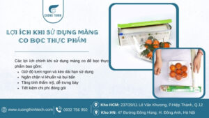 màng co bọc thực phẩm
