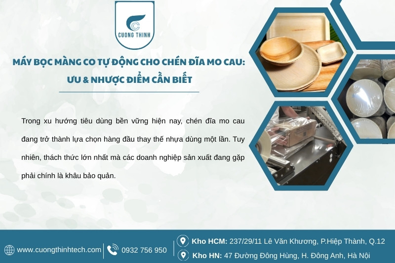 Máy bọc màng co tự động cho chén đĩa mo cau: Ưu & nhược điểm cần biết