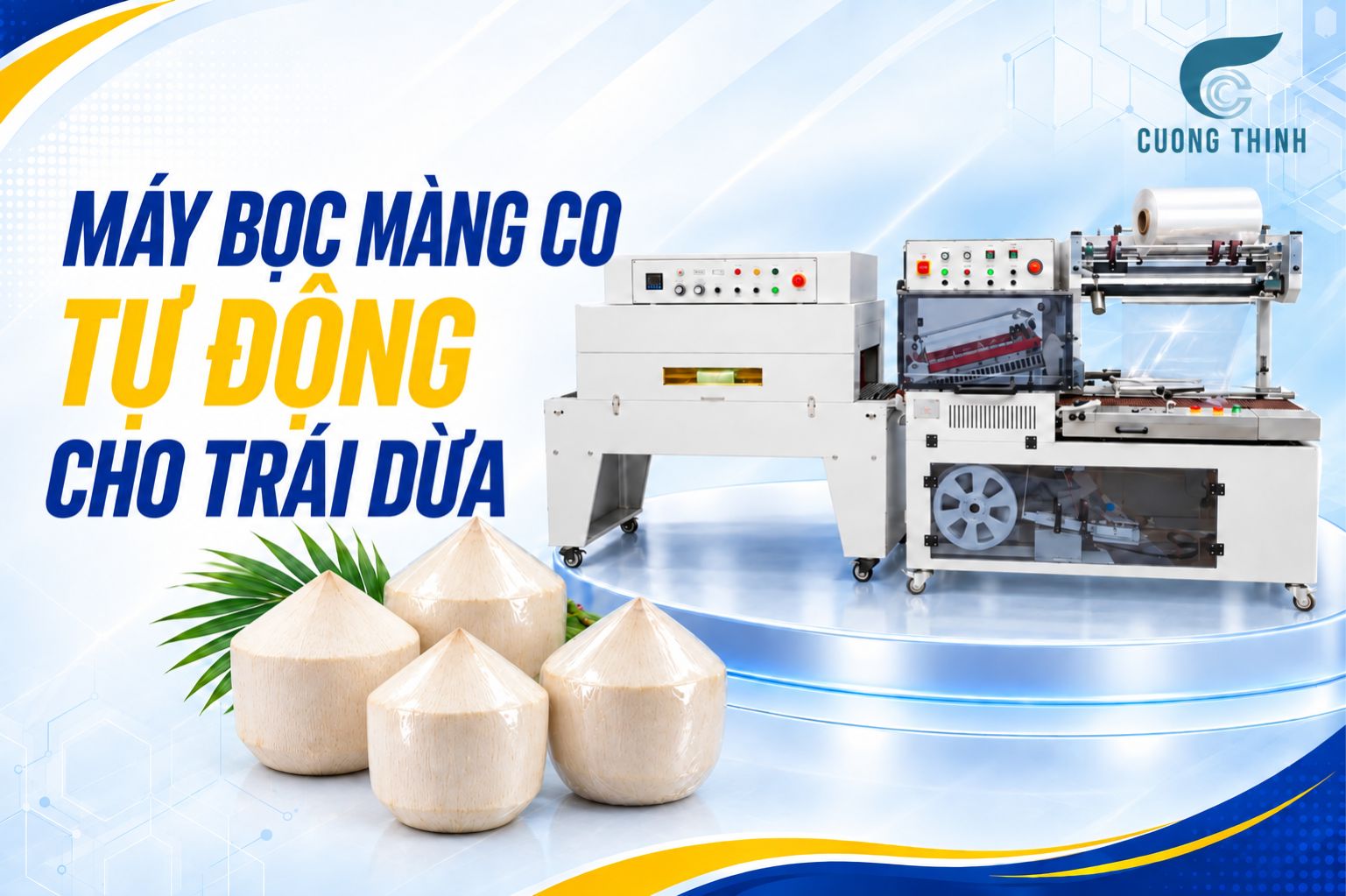 Máy bọc màng co tự động cho trái dừa với trái dừa gọt đã bọc màng co